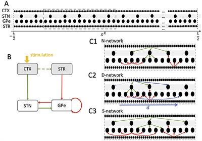 Synaptic network structure shapes cortically evoked spatio-temporal responses of STN and GPe neurons in a computational model